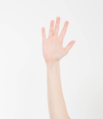 El beyazda izole edildi. Oylama eli. Model yap. Uzayı kopyala Şablon. Boşluk.