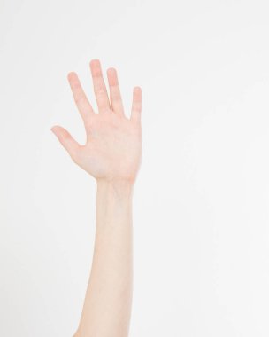 El beyazda izole edildi. Oylama eli. Model yap. Uzayı kopyala Şablon. Boşluk.