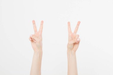 İki El zaferin ya da barışın işaretini gösteriyor. Beyaz arka planda izole edilmiş. Ön manzara. Model yap. Uzayı kopyala Şablon. Boşluk.