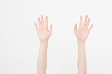 Beyazda iki el izole edildi. Oylama eli. Model yap. Uzayı kopyala Şablon. Boşluk.