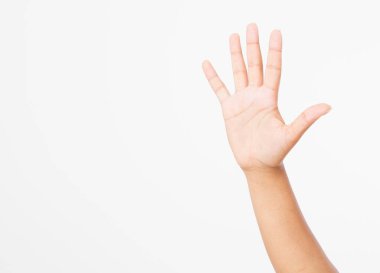 Siyah el beyazda izole edildi. Oylama eli. Model yap. Uzayı kopyala Şablon. Boşluk.