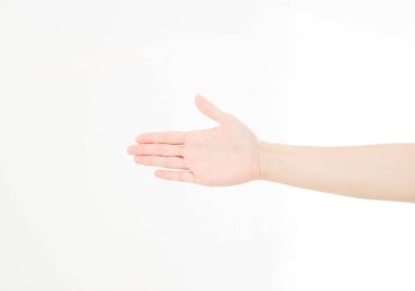 Açık erkek eli, beyaz arka planda izole edilmiş, selamlama kolu, kopyalama alanı