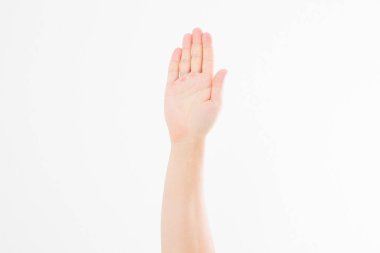 El beyazda izole edildi. Oylama eli. Model yap. Uzayı kopyala Şablon. Boşluk.