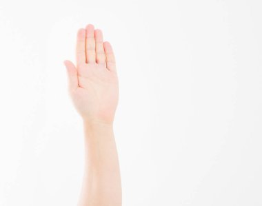 El beyazda izole edildi. Oylama eli. Model yap. Uzayı kopyala Şablon. Boşluk.