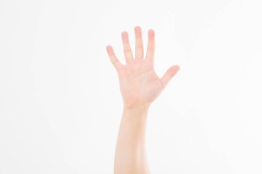 El beyazda izole edildi. Oylama eli. Model yap. Uzayı kopyala Şablon. Boşluk.