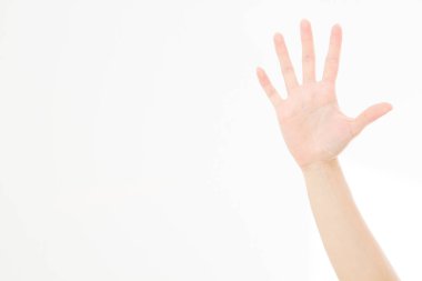 El beyazda izole edildi. Oylama eli. Model yap. Uzayı kopyala Şablon. Boşluk.