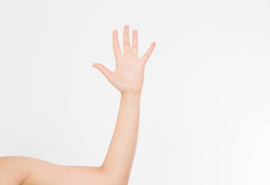 El beyazda izole edildi. Oylama eli. Model yap. Uzayı kopyala Şablon. Boşluk.