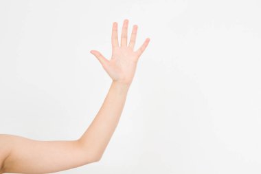 El beyazda izole edildi. Oylama eli. Model yap. Uzayı kopyala Şablon. Boşluk.