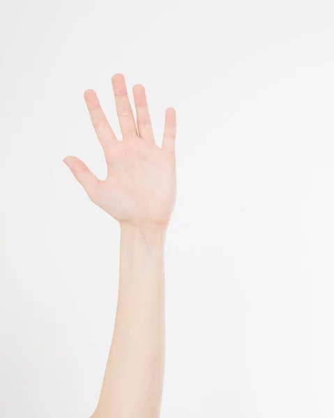 Χέρι Που Απομονώνεται Στο Λευκό Mock Επάνω Αντιγραφή Χώρου Πρότυπο — Φωτογραφία Αρχείου