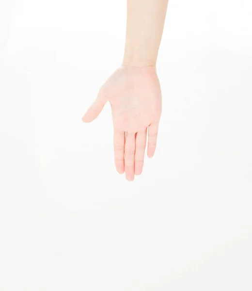 Palm Hand Gesture Isolated White Background Copy Space — Stock Photo, Image