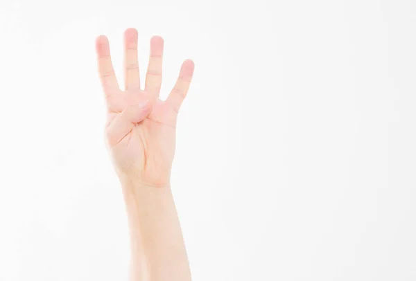Αντρικό Χέρι Δείχνει Τέσσερα Δάχτυλα Χειρονομία Καυκάσιος Βραχίονας Mock Επάνω — Φωτογραφία Αρχείου
