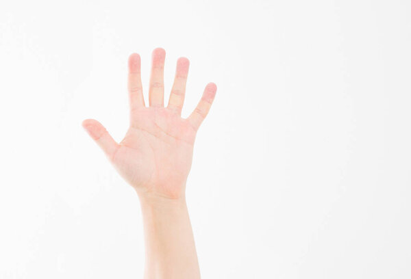 hand isolated on white.Voting hand. Mock up. Copy space. Template. Blank.