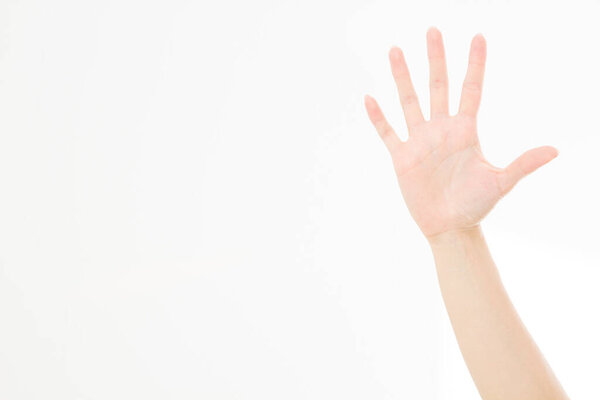 hand isolated on white.Voting hand. Mock up. Copy space. Template. Blank.