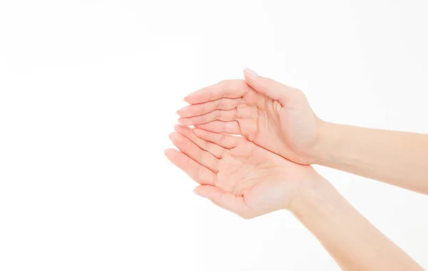 Weibliche Hand Zwei Handflächen Hoch Handbreit Isoliert Auf Weißem Hintergrund — Stockfoto