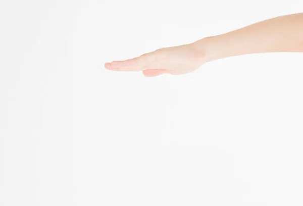 여성의 배경에 고립된 손바닥을 보호하는 템플릿 — 스톡 사진