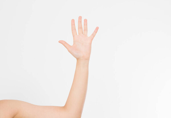 hand isolated on white.Voting hand. Mock up. Copy space. Template. Blank.