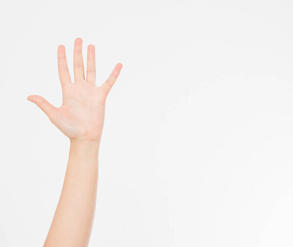 hand isolated on white.Voting hand. Mock up. Copy space. Template. Blank.