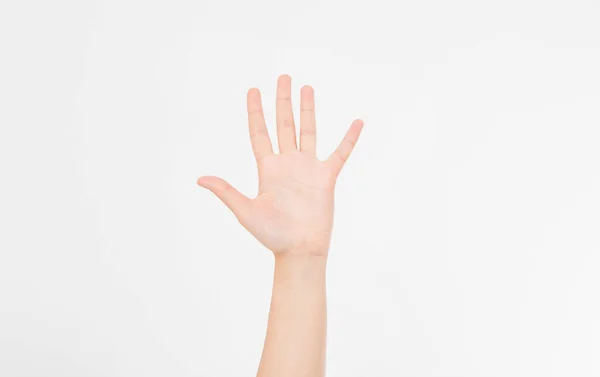 Mão Isolada Sobre White Voting Mão Faz Asneira Espaço Para — Fotografia de Stock