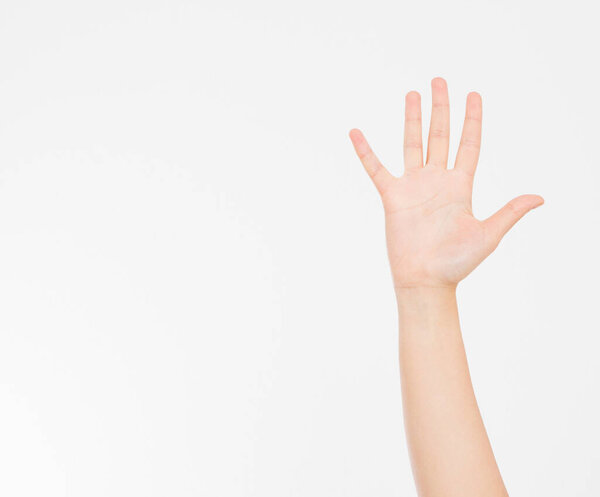 hand isolated on white.Voting hand. Mock up. Copy space. Template. Blank.