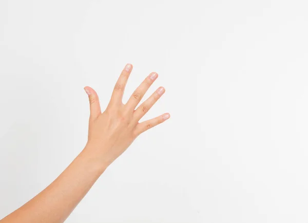 Woman Hand Handbreadth Isolated White Background Front View Mock Copy — Stock Photo, Image