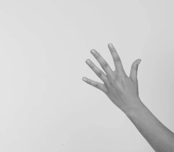 Vrouwenhand Omhoog Handbreedte Geïsoleerd Een Witte Achtergrond Vooraanzicht Maak Niet — Stockfoto