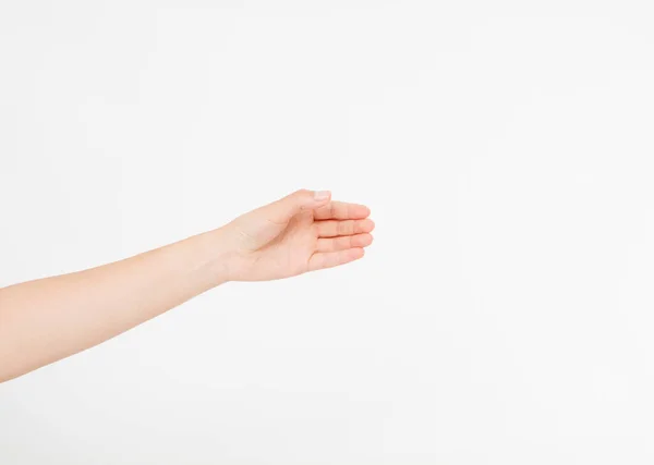 女性的手测量看不见的东西 女性的手部制作动作 同时在白色孤立的背景 复制空间上显示少量的东西 — 图库照片
