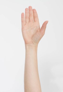 El beyazda izole edildi. Oylama eli. Model yap. Uzayı kopyala Şablon. Boşluk.