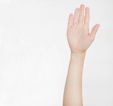 El beyazda izole edildi. Oylama eli. Model yap. Uzayı kopyala Şablon. Boşluk.