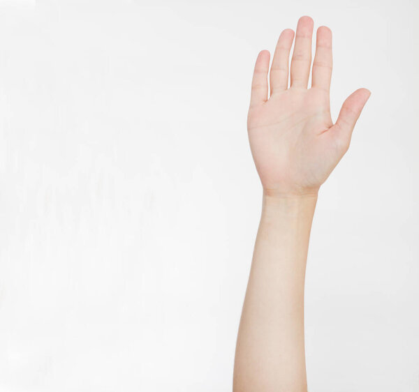 hand isolated on white.Voting hand. Mock up. Copy space. Template. Blank.
