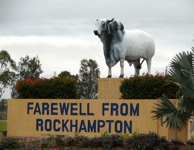 The Monument especial oxen that survives in very dry north Australia. November 6, 2007 in Rockhampton, Australia. clipart