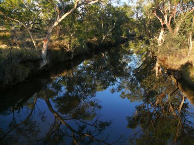 Creek - a rarity in australian outback. Australia, Queensland. clipart