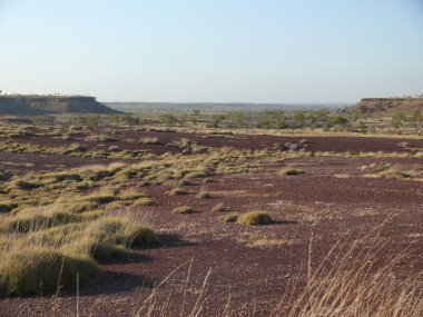 Batı Avustralya, victoria river Milli Parkı.