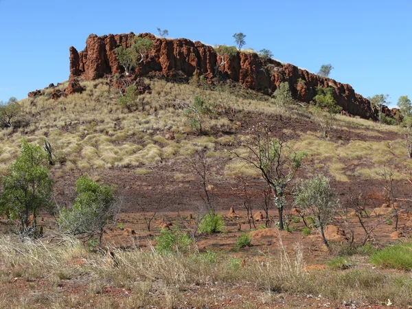 Il a stocké l'arrière-pays australien. Australie, Territoire du Nord . — Photo