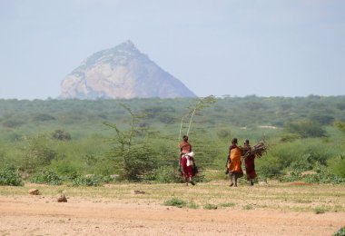 Vahşi Afrika kabile tsonga kadınlar odun kadar 28 Kasım 2008 kenya, Afrika saklamak.