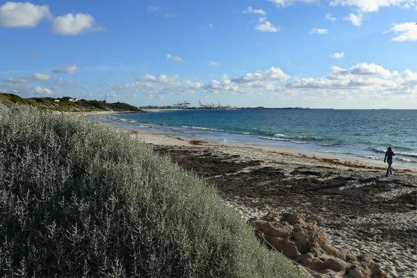 Spiaggia dell'Oceano Indiano a Perth. Australia Occidentale, Perth . — Foto Stock