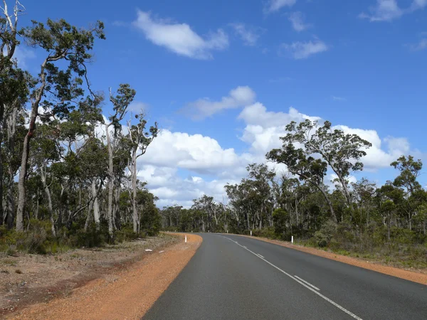 Paysage de bois d'eucalyptus avec route et ciel très bleu. Australie occidentale, près d'Augusta . — Photo