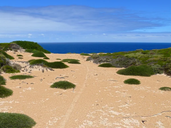 Přímořské nullarbor národního parku s velmi modrý oceán. Jižní Austrálie. — Stock fotografie