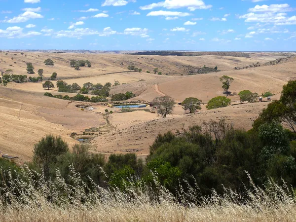 Panoramablick auf das schöne landwirtschaftliche Grundstück mit See. Australien, in der Nähe von adelaide. — Stockfoto