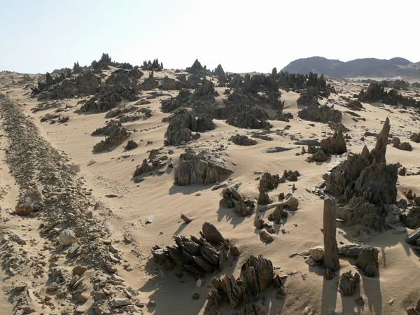 Afrika, sudan. öğleden sonra Sahara çöl. — Stok fotoğraf