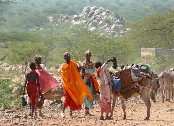 Frauen des wilden afrikanischen Stammes Tonga tragen das Wertvollste in der Savanne - Wasser 28. November 2008 in Kenia, Afrika. — Stockfoto