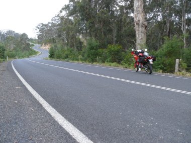 Avustralya, yeni Güney Galler. Okaliptüs ahşap yolda