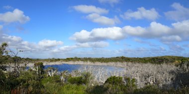 Sulu yeşil savannah ile Gölü Panoraması. esperance yakınındaki Batı Avustralya.