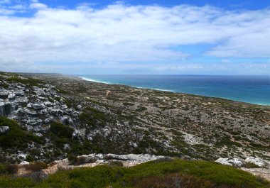 Sahil Milli Parkı nullarbor. Güney Avustralya.