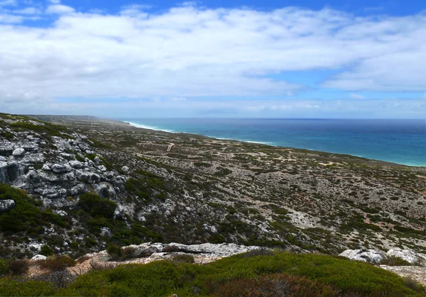 Παραλία της των nullarbor εθνικό πάρκο. Νότια Αυστραλία. — Φωτογραφία Αρχείου