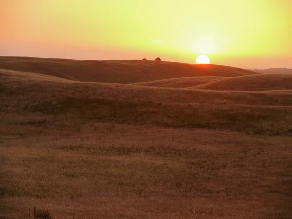 Τη γεωργική έκταση ρομαντικό ηλιοβασίλεμα. κοντά στο Πόρτλαντ, Βικτώρια, Αυστραλία. — Φωτογραφία Αρχείου