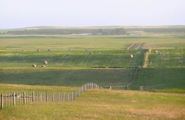 The Agricultural romantic land on sundown. Near Portland, Victoria, Australia. — Stock Photo, Image