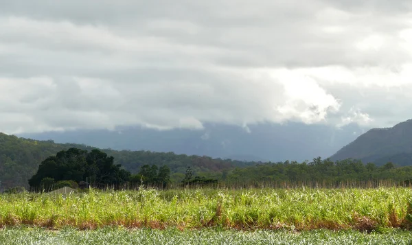 澳大利亚昆士兰州。景观的耕作土地覆盖雷云. — 图库照片