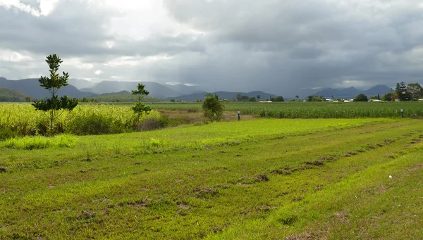 Australien, Queensland. Landschaft aus landwirtschaftlichen Flächen bedeckt Gewitterwolken. — Stockfoto