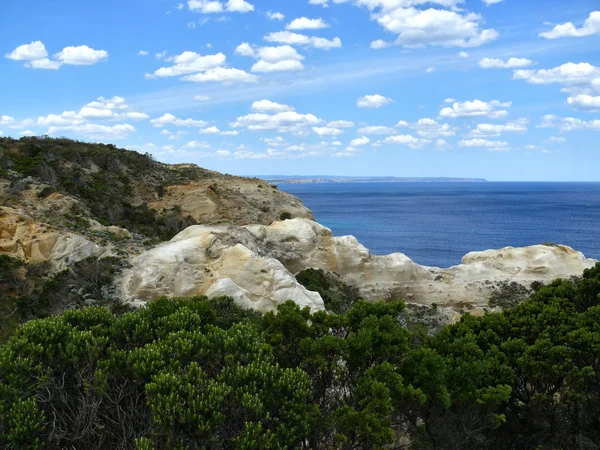 La orilla del mar con la formación rocosa, los árboles y el cielo muy azul. Great Ocean Road, Australia, Victoria, Parque Nacional . —  Fotos de Stock