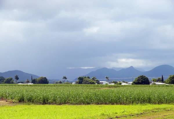 Australië. landschap van de natuur. — Stockfoto